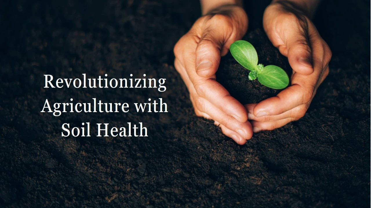 From the Ground Up article cover