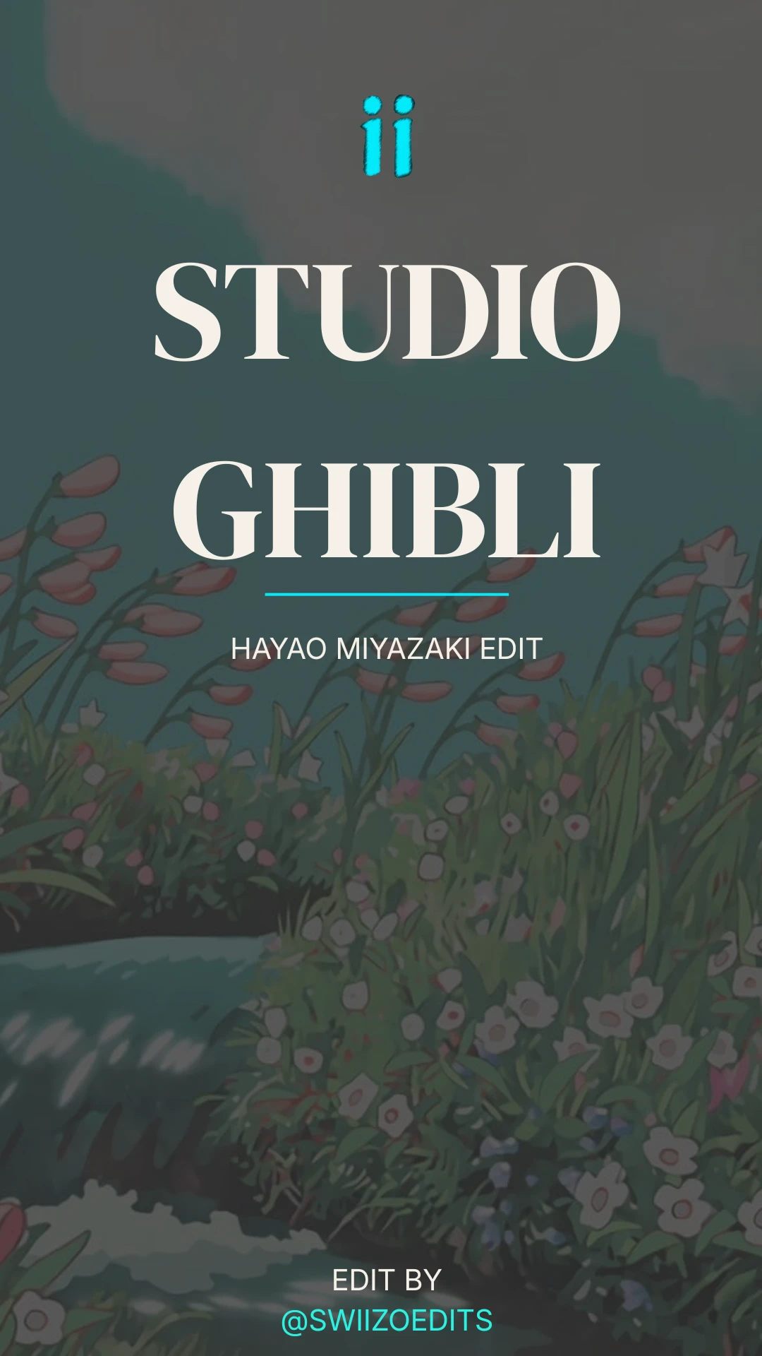 Movies & TV, video 1