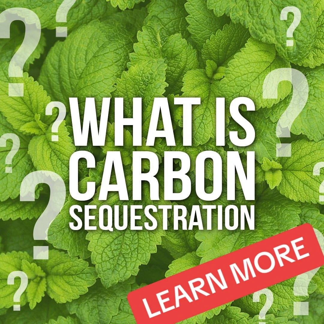 Carbon Sequestration, slide 1 of 8