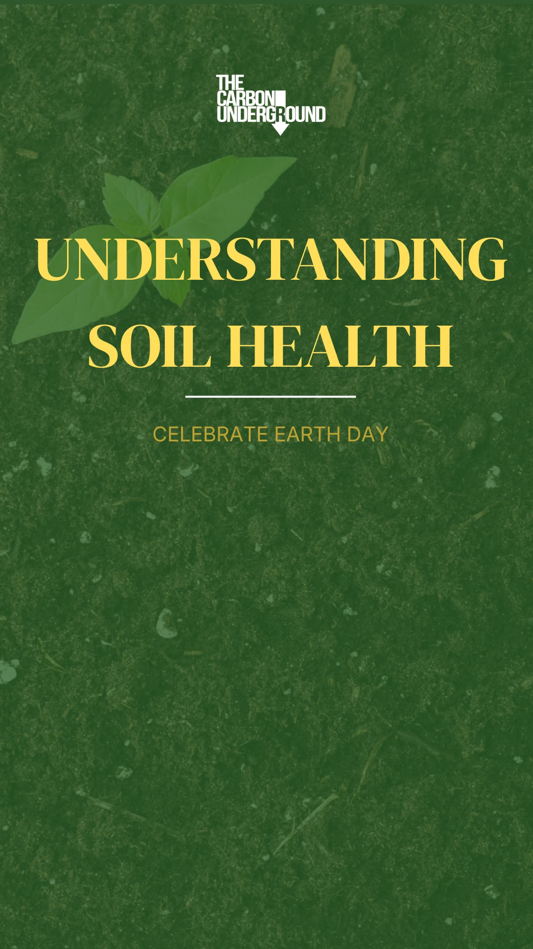 Healthy Soil