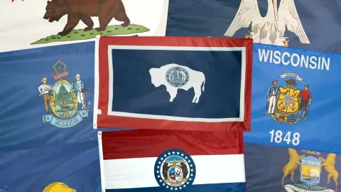 Animals on U.S. State Flags: 8 Designs Explained